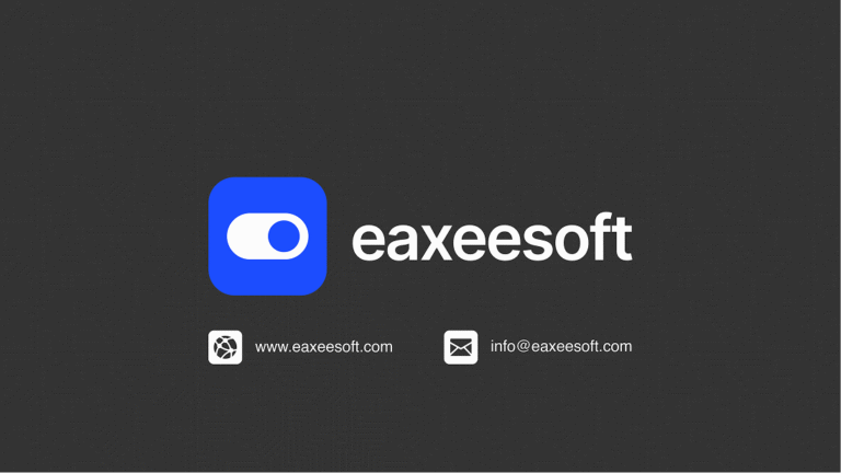 eaxeesoft Brand Identity 11-08-2024-14