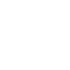 Web Dev